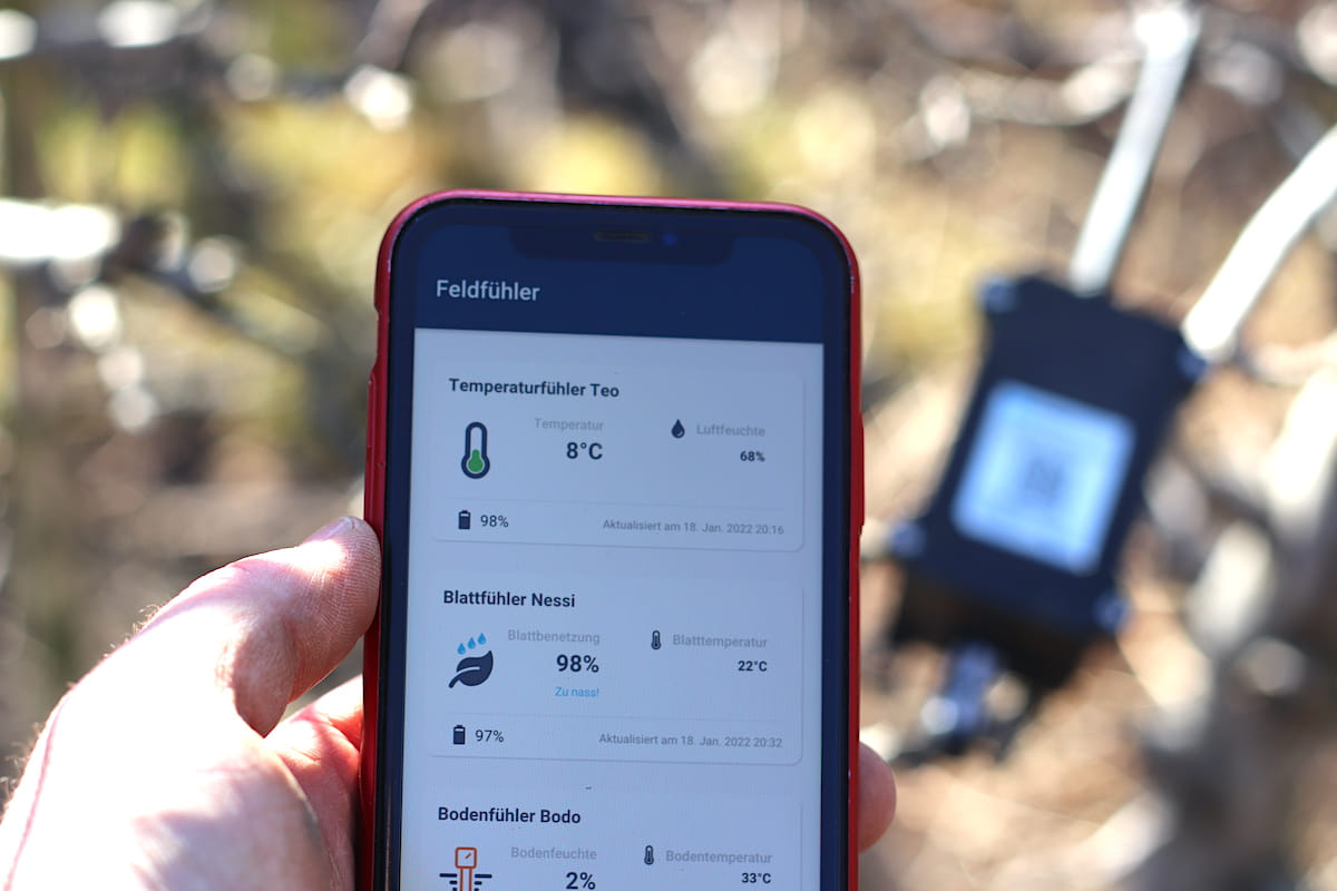 Feldfühler app on smartphone: temperature, leaf wetness and soil sensors live