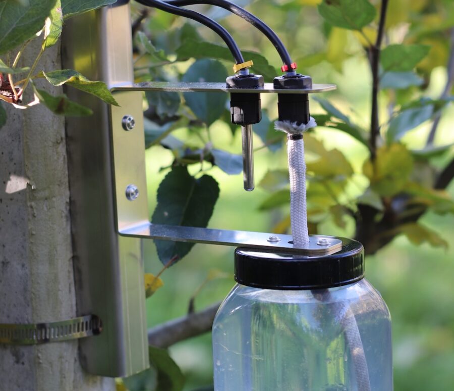Feldfühler frost station with rain gauge mounted on tree